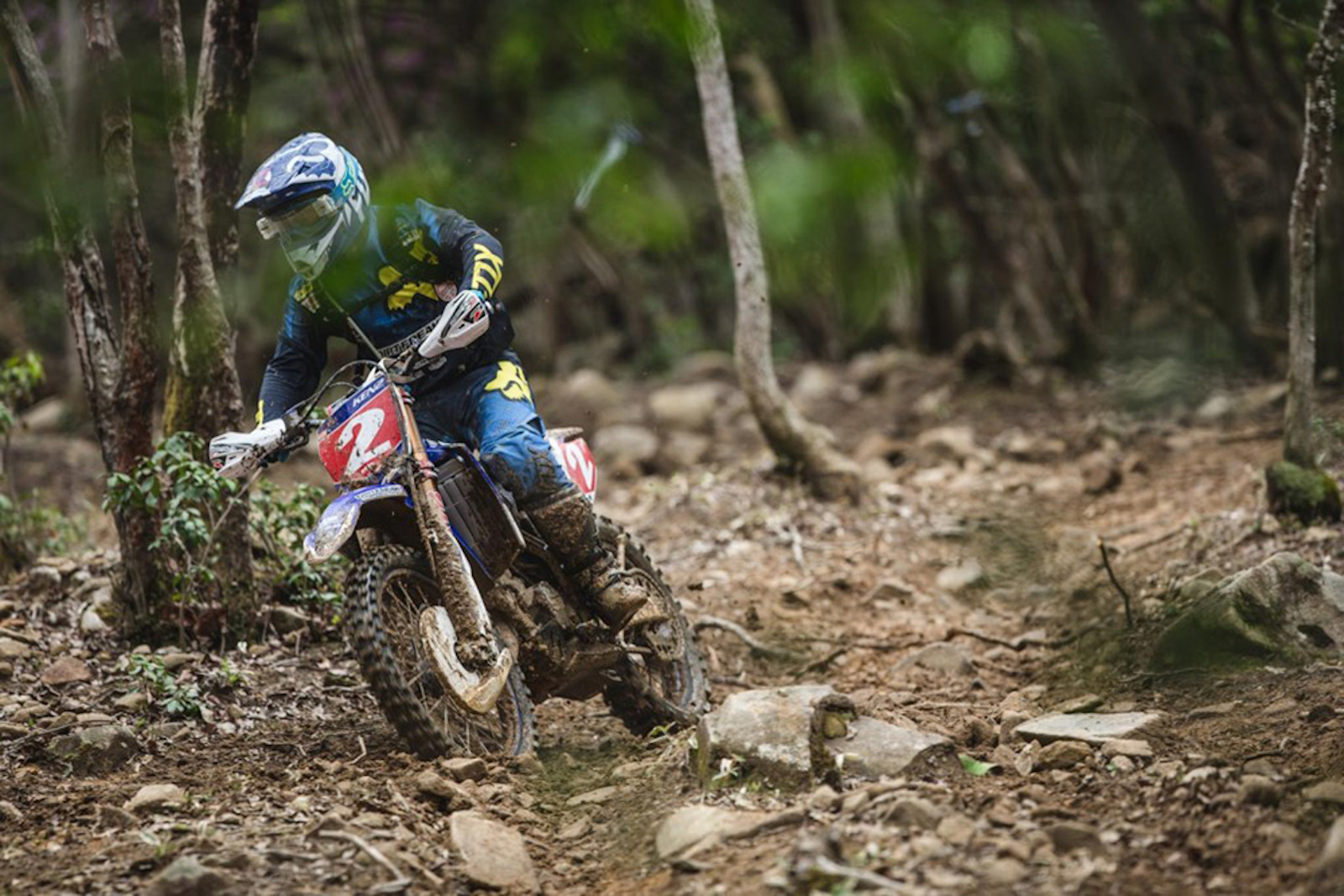 Kenji Suzuki dominates JEC 2018 opener