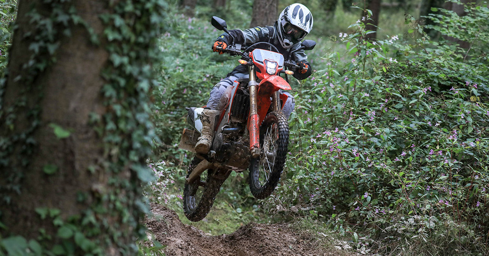 Tested: 2019 Honda CRF450L 
