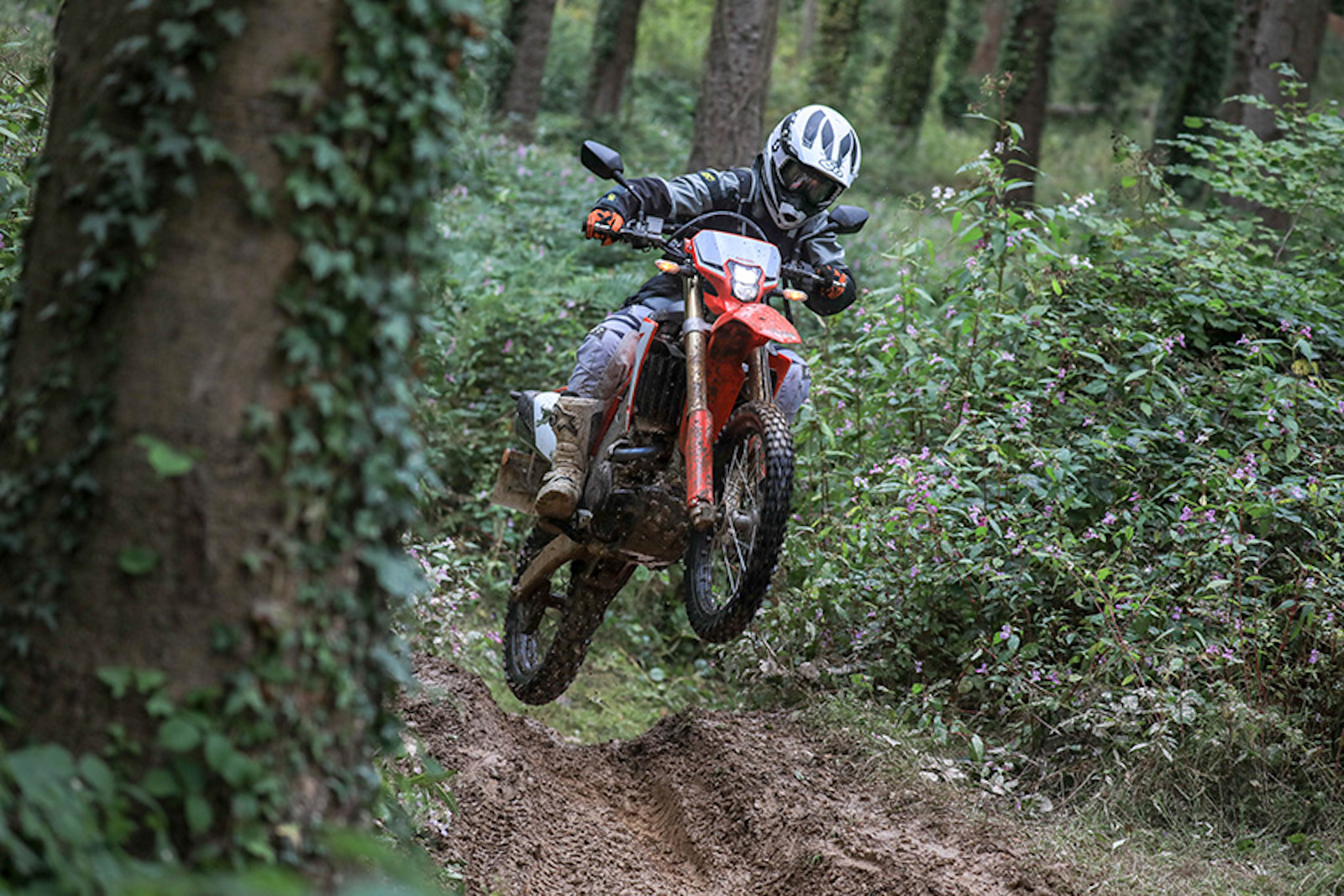 Tested: 2019 Honda CRF450L 