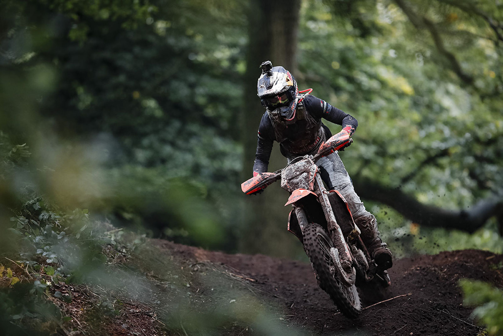 manuel_lettenbichler_wess_2019_rnd6_-_hawkstone_560