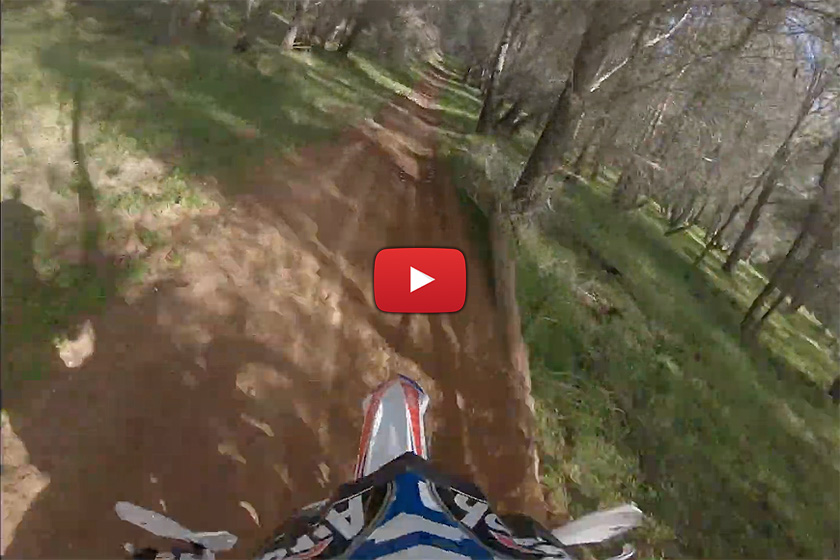 POV: Brad Freeman pinned between the trees – Beta 300cc two-stroke
