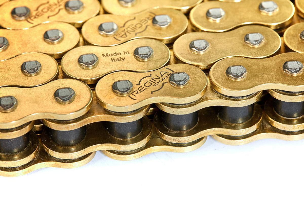 Regina Develop Maintenance-Free Chain