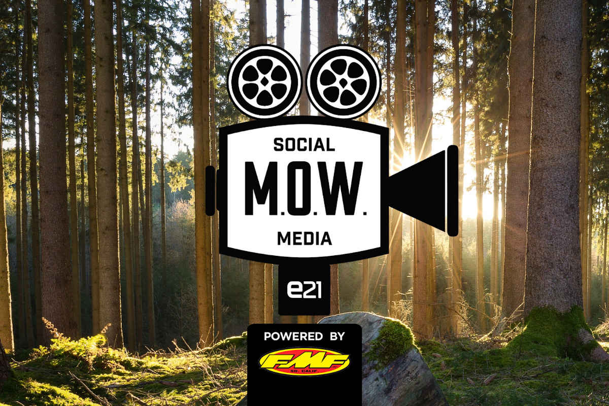Social Selection – CW 41