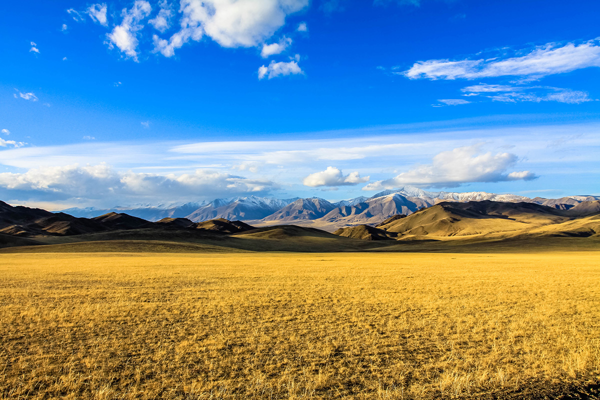silk_way_rally_mongolia_scene_