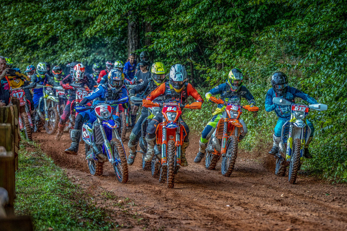 mjs_0037