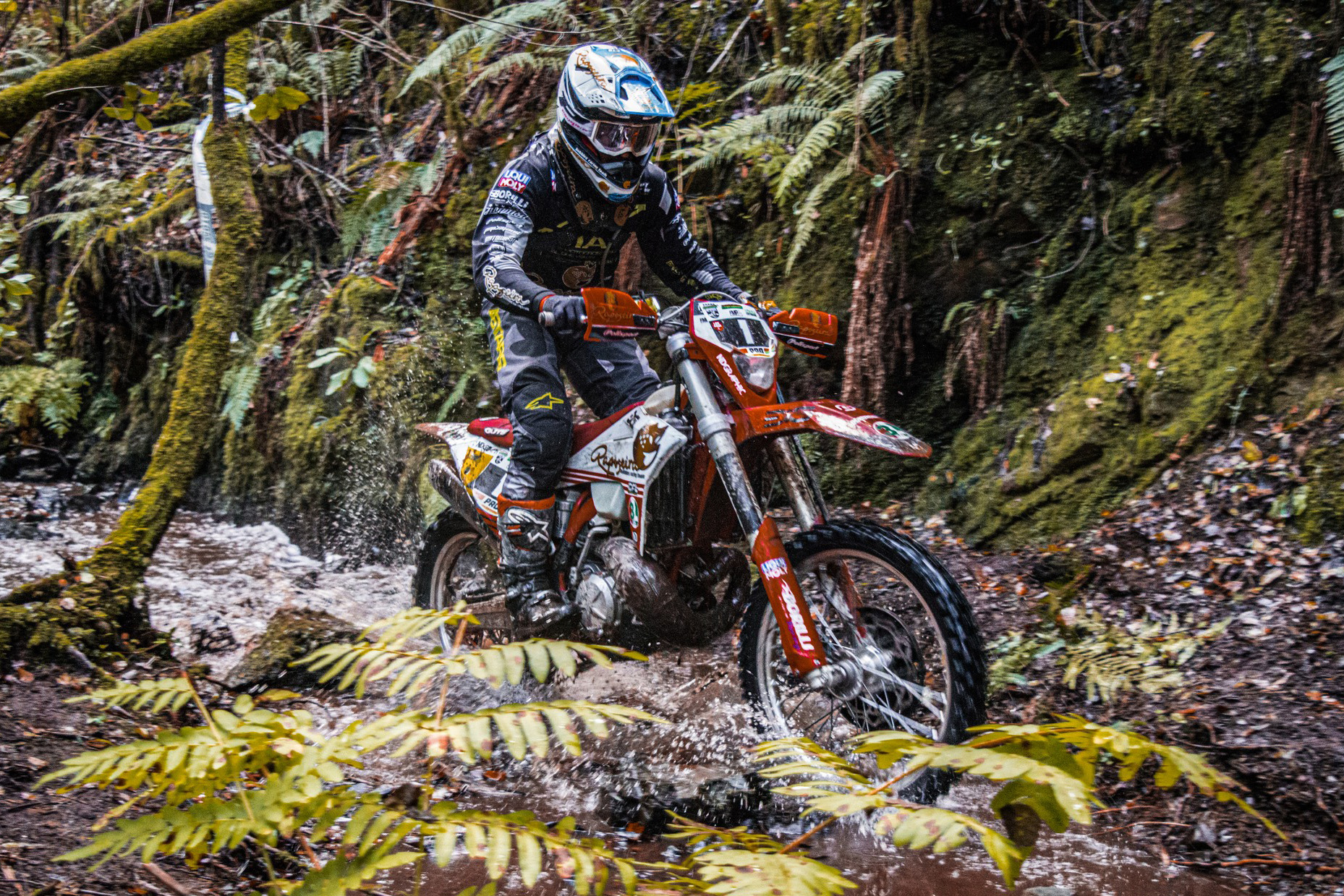 2021 Portuguese Hard Enduro Trophy: Lousa Extreme highlights