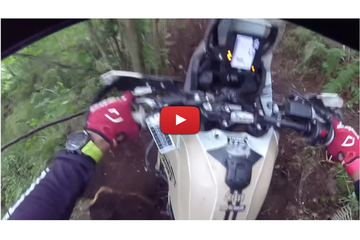 When you take a Yamaha Tenere 700 to an enduro – prologue POV with Pol Tarres
