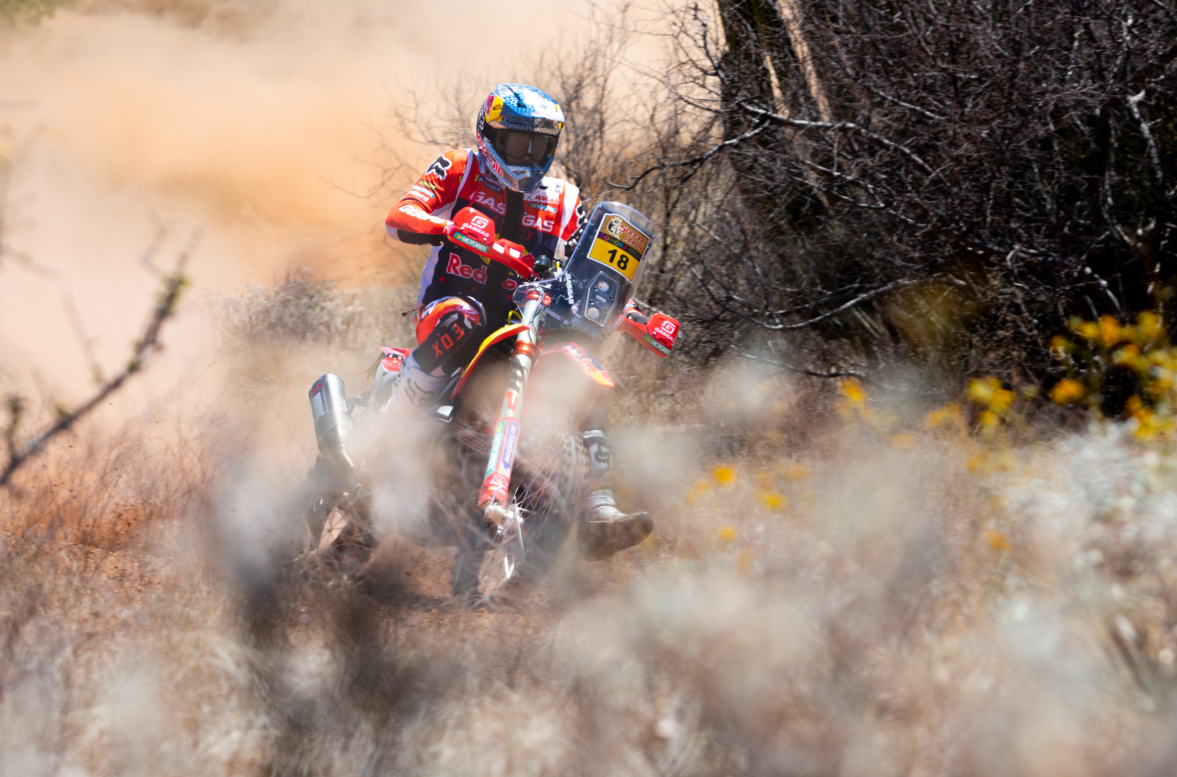 daniel-sanders-red-bull-gasgas-factory-racing-2023-sonora-rally
