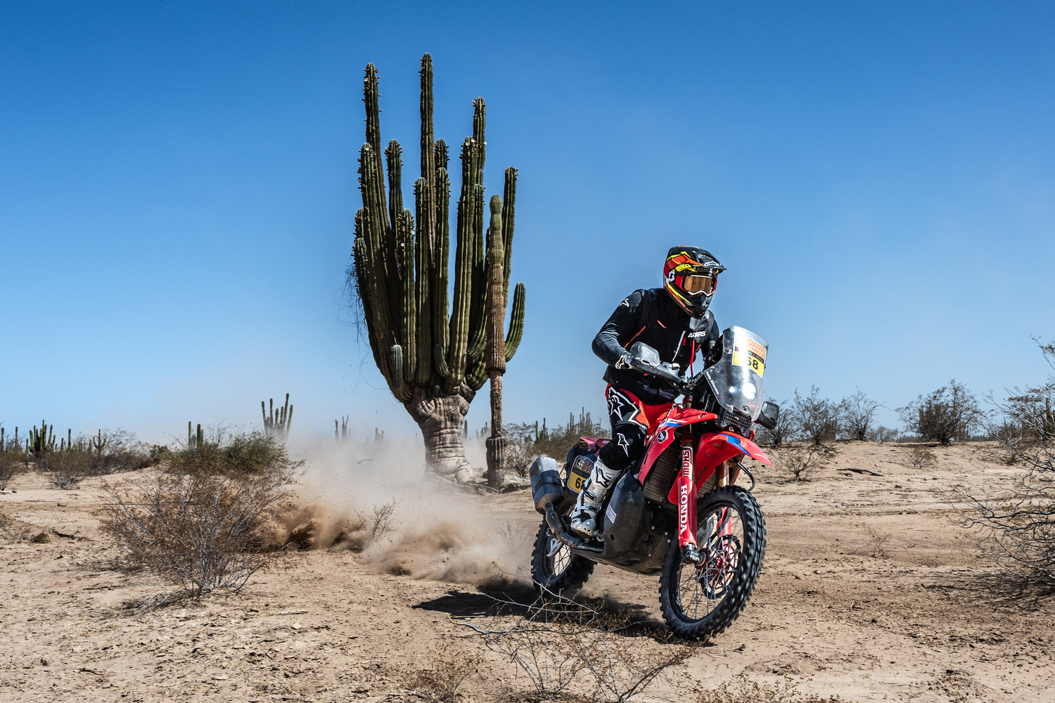2023 Sonora Rally results: Day one win for “privateer” Schareina