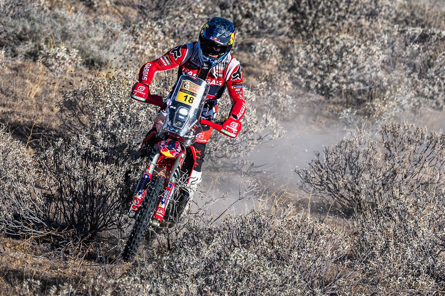 2023 Sonora Rally results: Daniel Sanders extends race lead with stage 3 win