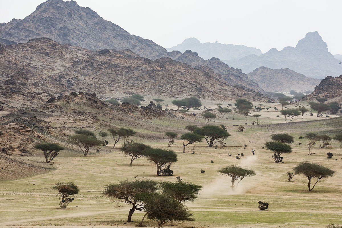 Dakar ’23 daily notebook: way to go stage one, what a start to the rally