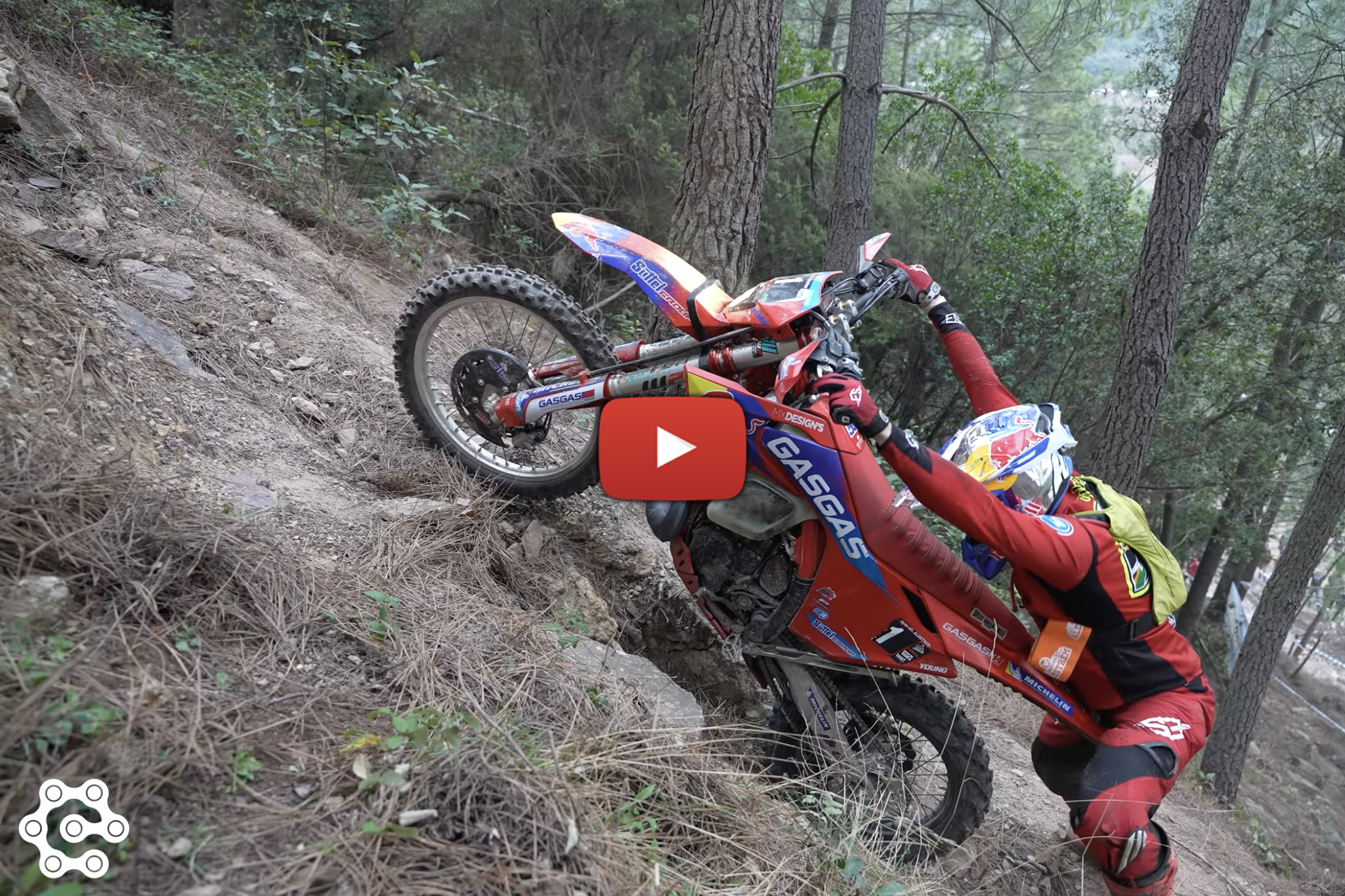 2024 Ales Trem video highlights: Wade Young and Mario Roman battle – how close?!