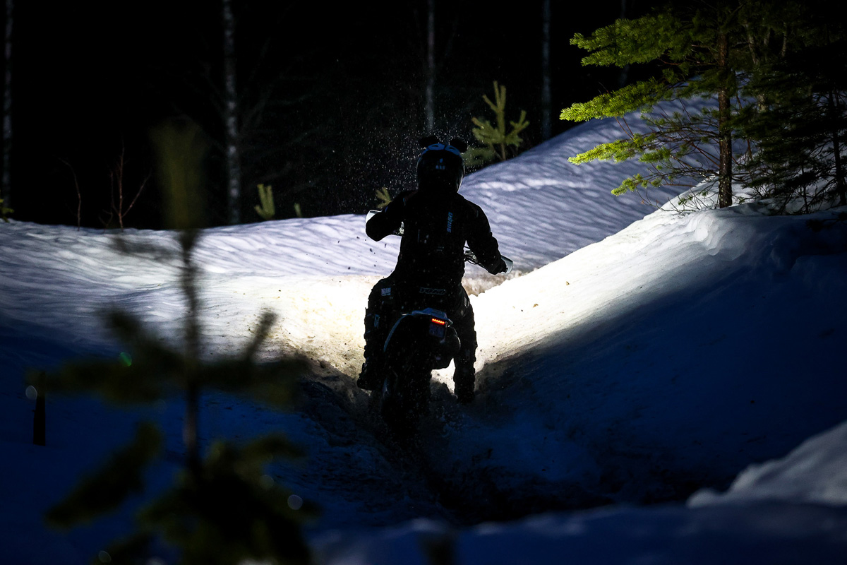 paitsi_2024_action-5